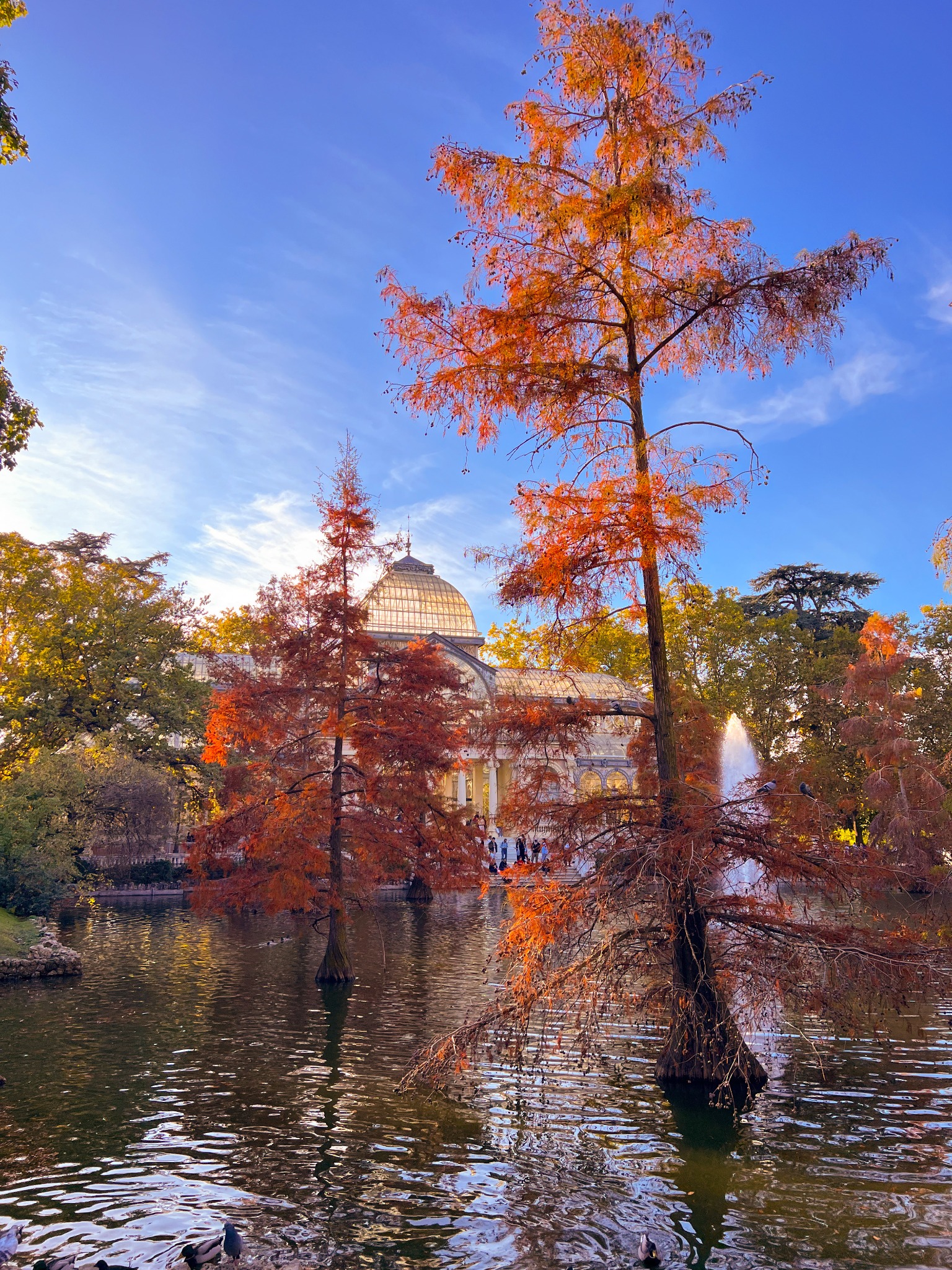 Autumn landscape at the Retiro Park in Madrid
